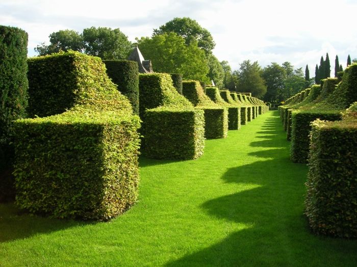 Angleški vrt oblikovanje dobro poskrbljeno zasnovan