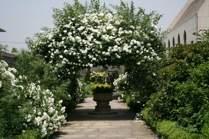 Garden White Rose kovinski lok-aristokratske britanski