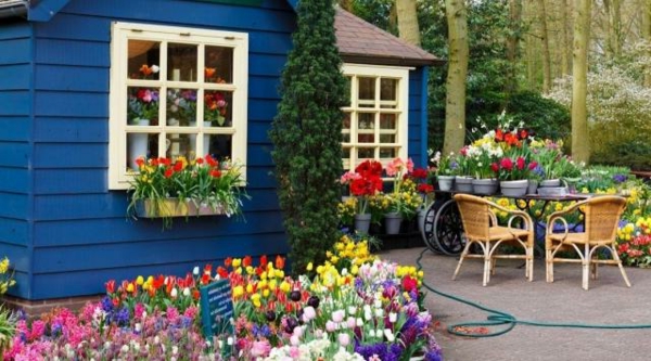 Garden House Garden Shed Colorat Flori-aranja-gradina-in