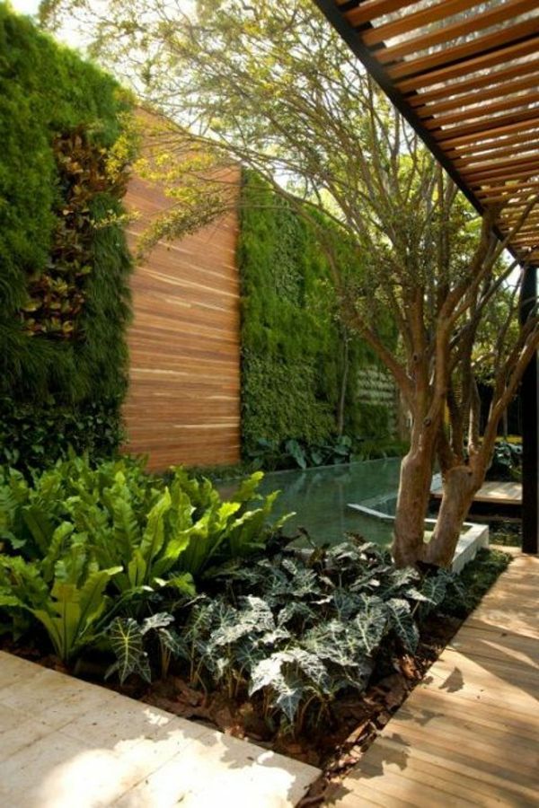 Trädgård staket av trä med klätterväxter Idea