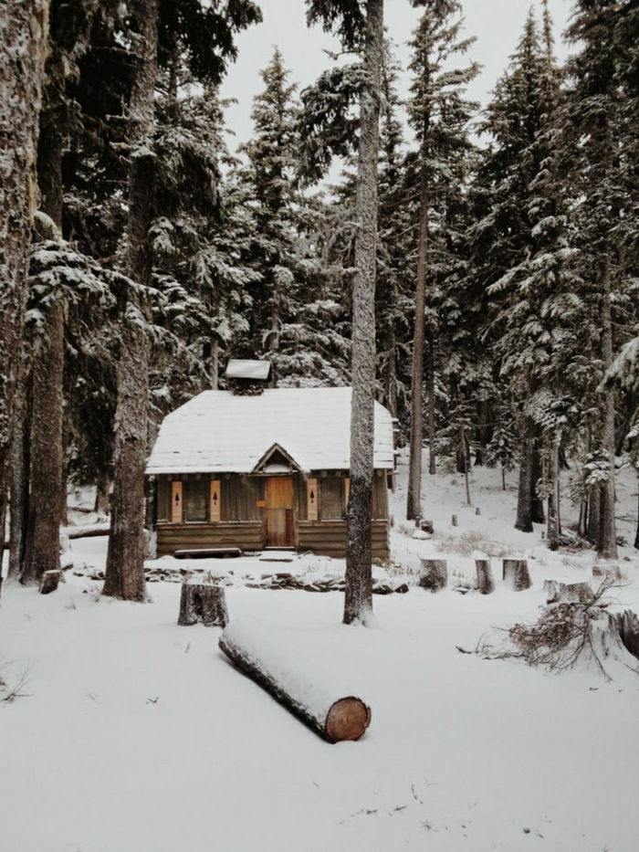 Bergen Bos Hut Winter Snow coniferen