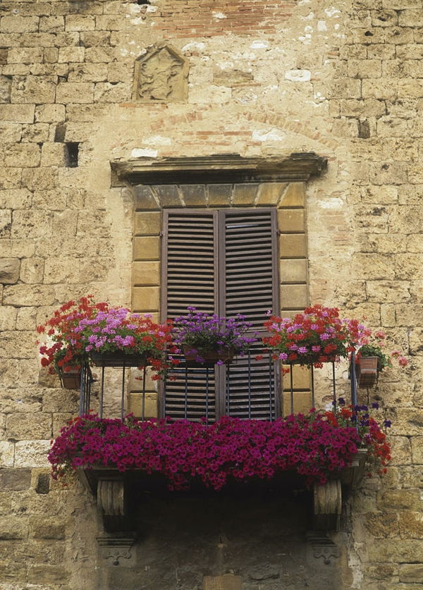 Balustradă-by-one-balcon-acoperite cu flori-