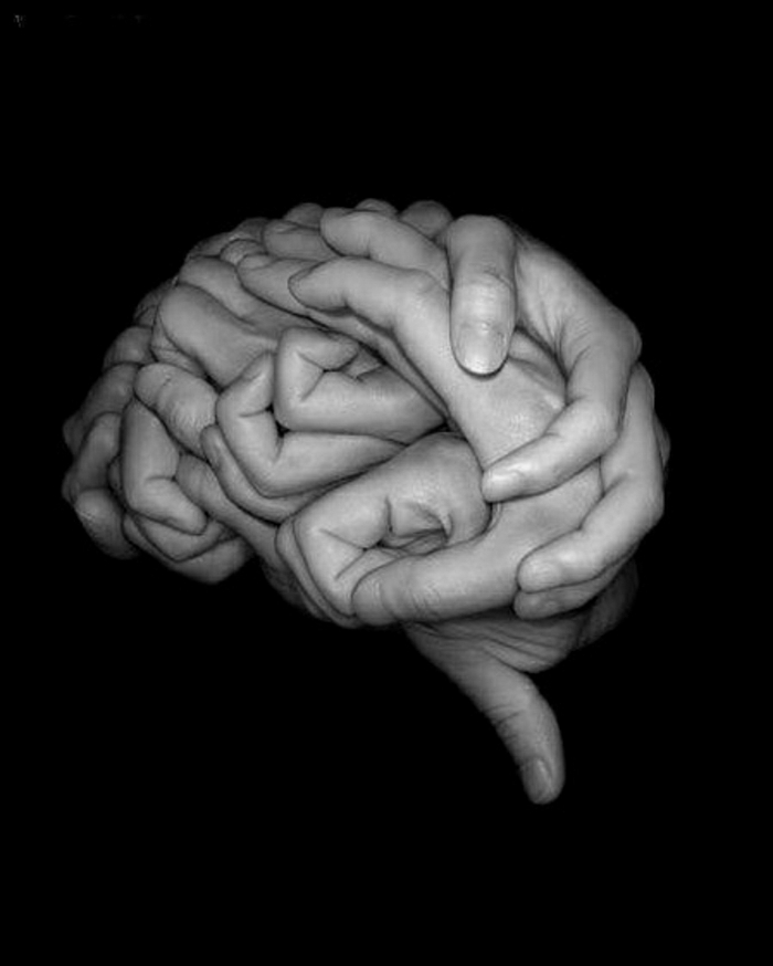 Eller Beyin Şekli