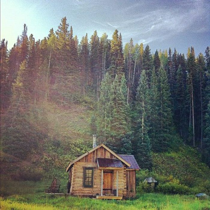 Hut log cabin-tre fjell gress bartrær