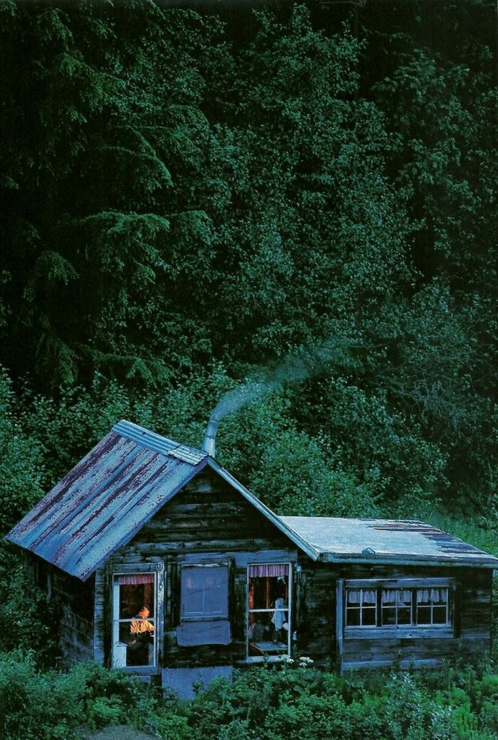Cabană din lemn Alaska Forest