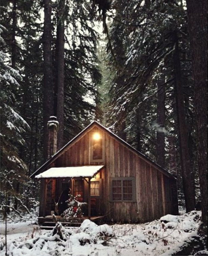 Cottage copaci din lemn Mountain Forest zăpadă