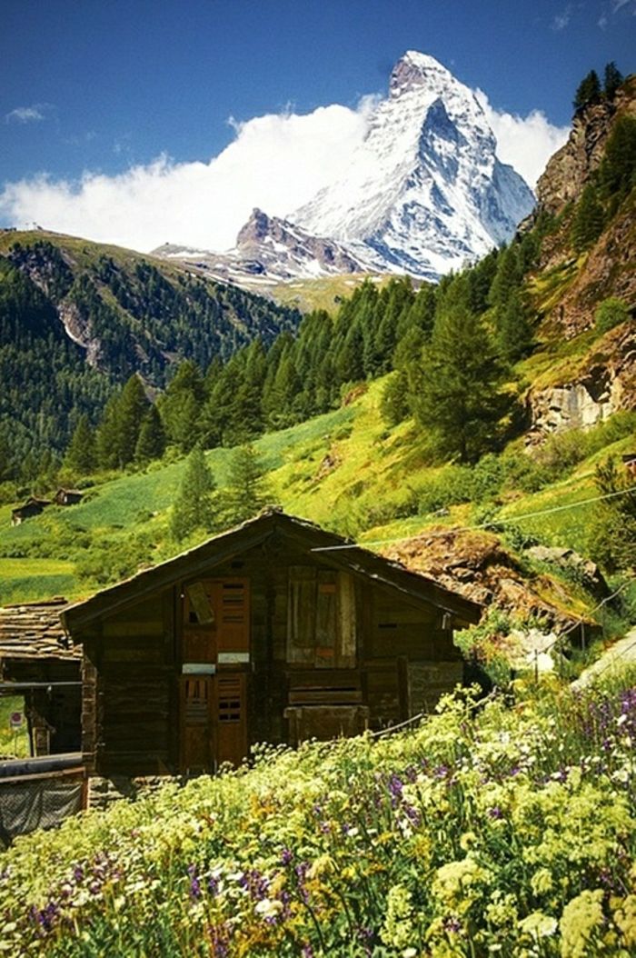 Hut vechi din lemn de modă Munții de zăpadă luncă flori