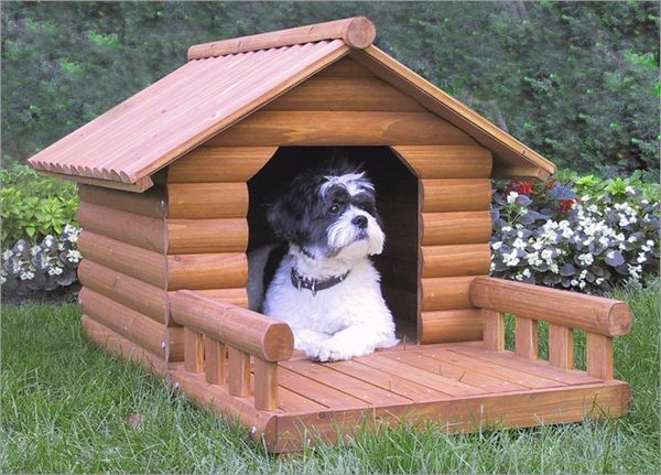 Hut-by-the-dog-zelf-build