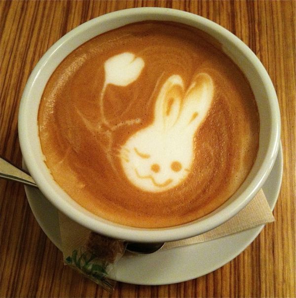 káva tvorby králičie v
