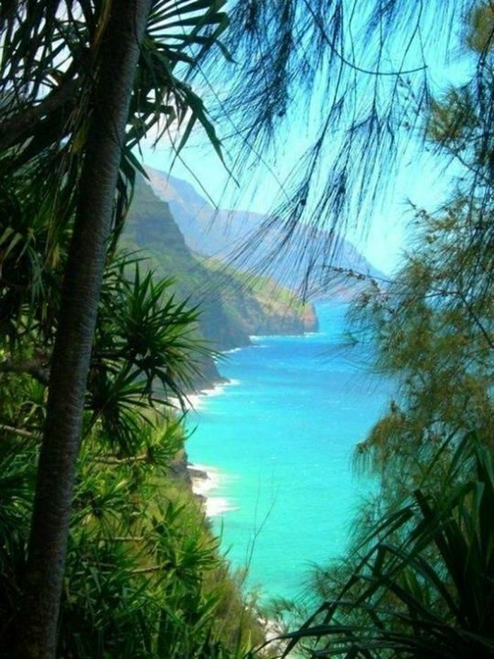 Wyspy Hawajskie Kauai Wypoczynkowe egzotyczne palmy