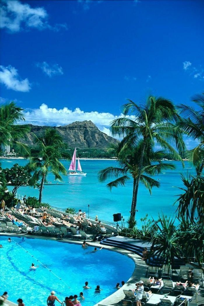 Hawaiian Islands-Oahu palmieri exotici de vacanță