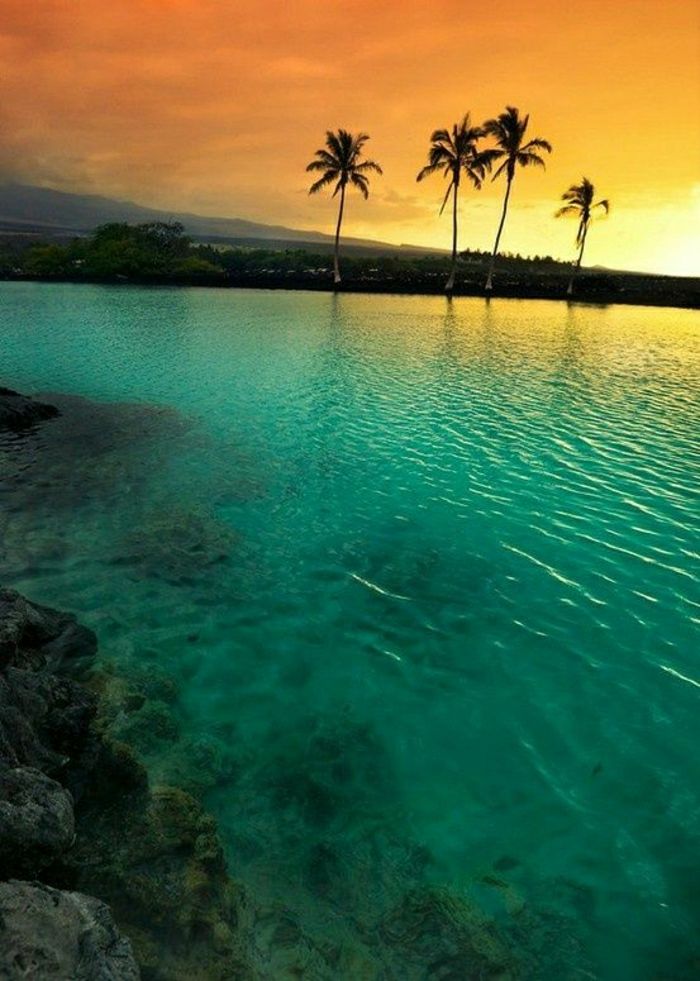 Havajų salos-paplūdimio egzotiška Palms Ocean