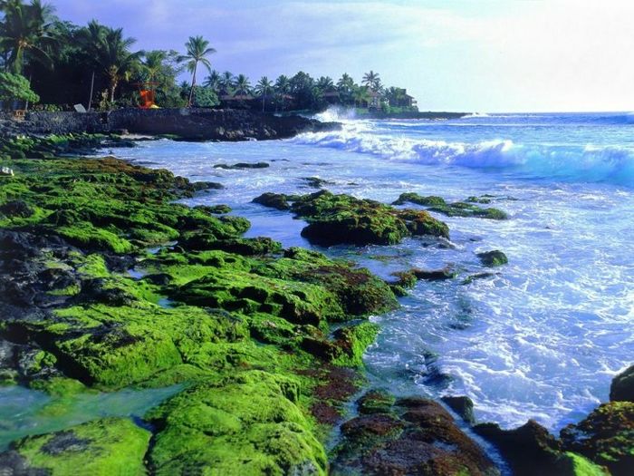 Hawaii Wybrzeże plaża Ocean egzotyczne wakacje