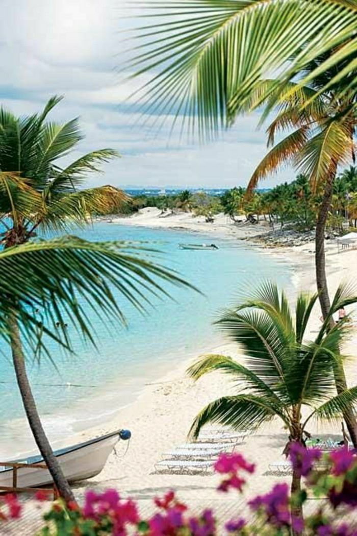 Hawajska plaża, egzotyczne palmy uruchomić Sand Ocean