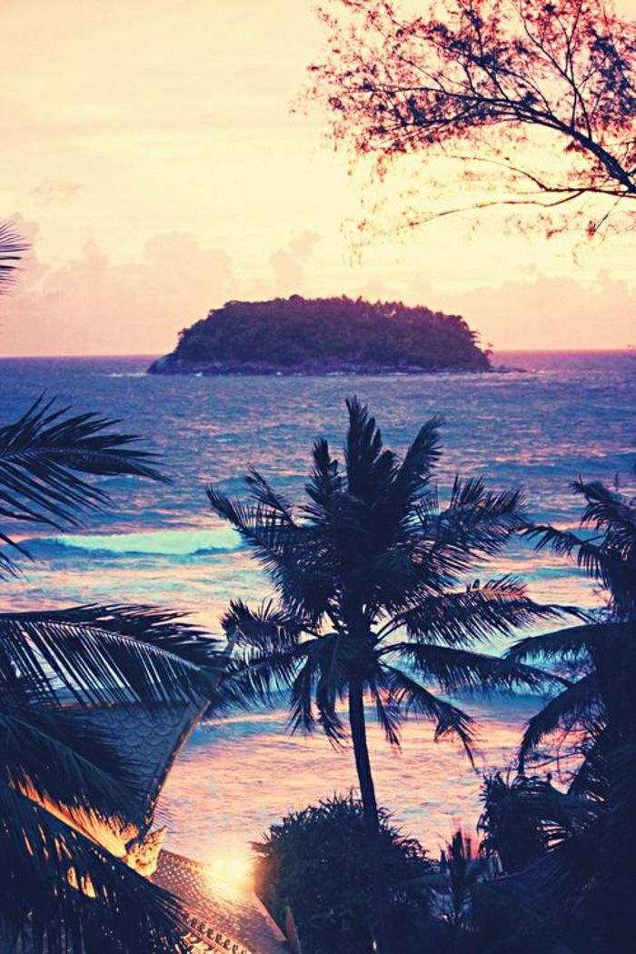 Havajai puikus vaizdas Palmių saulėlydžio