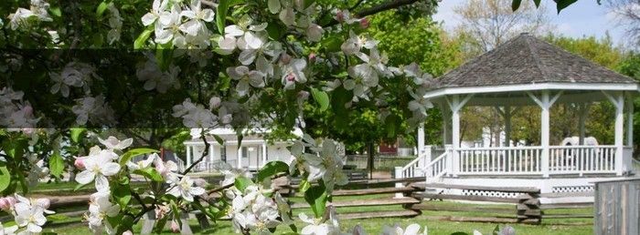 Marry the záhradu-a-krásny atmosféra
