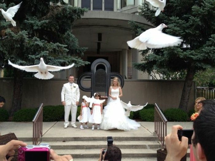 Wedding Dove-de små flickorna ser-själv