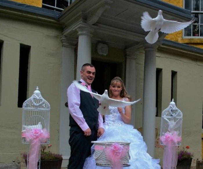 Wedding Dove med-rosa-volymer