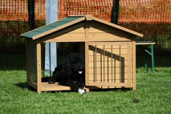 Dog House zelf-gebouw ideeën