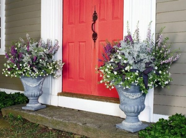 Ideeën-for-Flower tub elegante stijl paars-color-rode deur