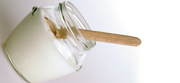 Jogurt bakterije-so-a-bolgarščina-odkritje