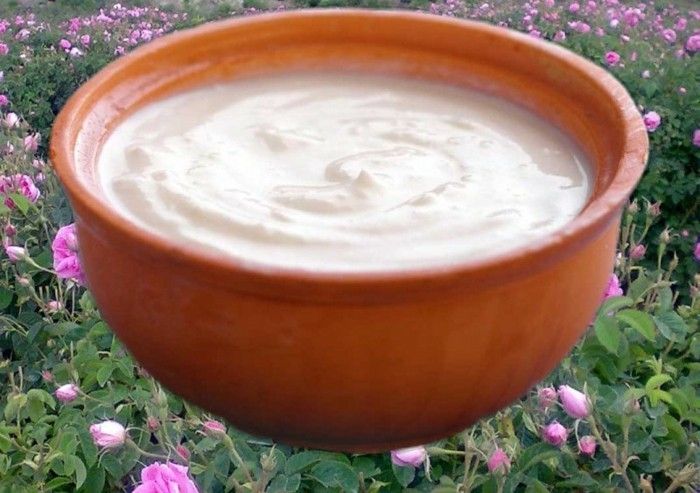 Yoghurtbakterier och-bulgariska Rose