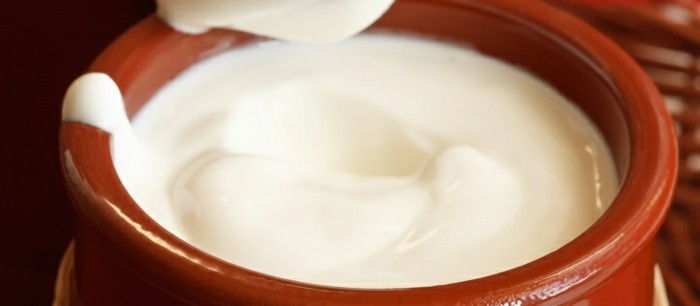 Yoghurtkultur-kommer-först-ut-Bulgarien