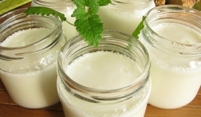 Yoghurtkultur-is-i-glas-framställd