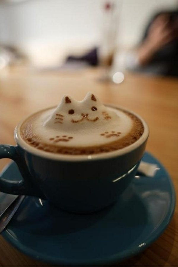 Coffee dekoration katt skum vacker idé
