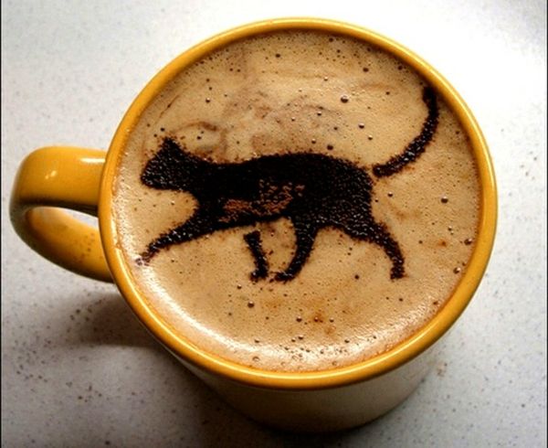 Coffee-oryginalny obraz czarno-cat