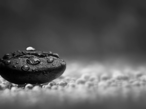 Čiernobiele fotografie Coffee Bean dažďovej kvapky