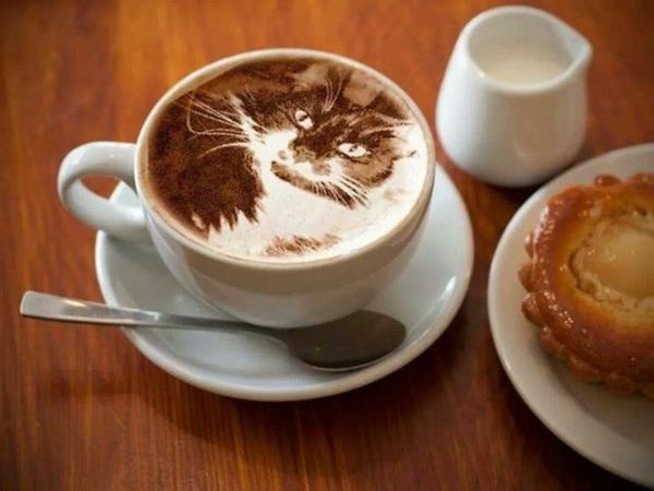 Fantastisk Cat Kaffeart dekoration idé