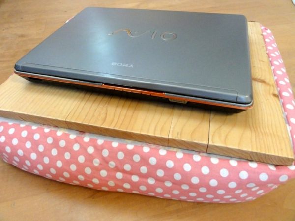 grote kussen voor Laptop roze-met-witte-punten
