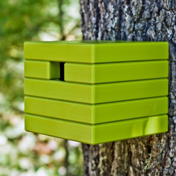 Cube-podajalnik-by-Bird Green