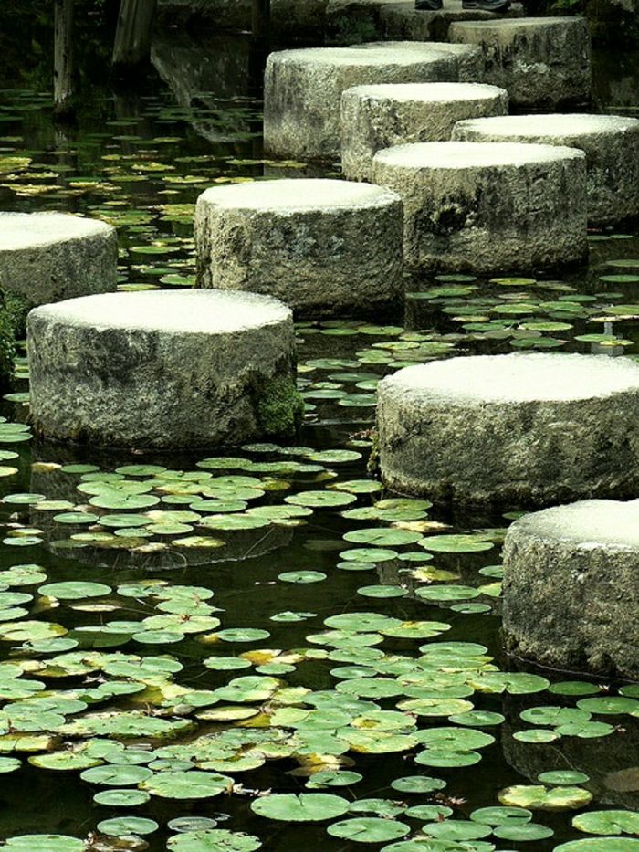 Kyoto Japonia Zen Garden Lake pietre pas cu pas nuferi