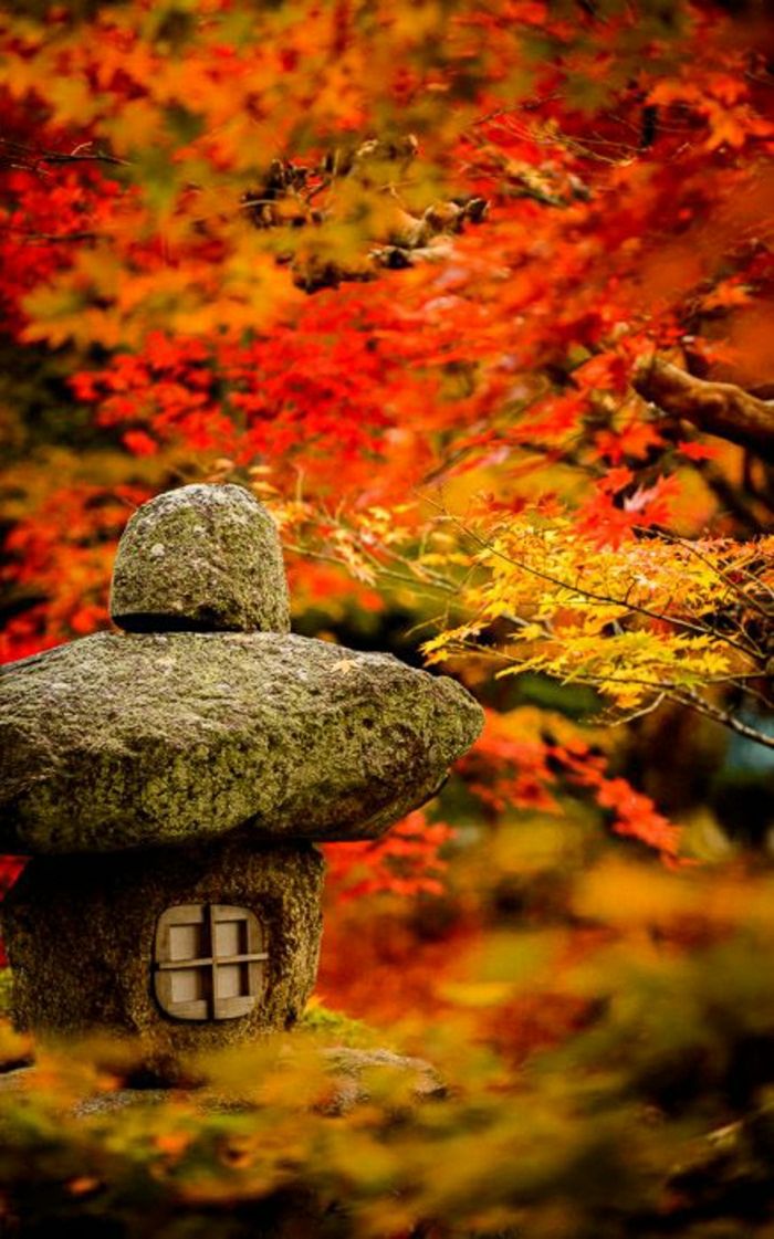 Kyoto Japonska Zen vrt Listi kamen luči