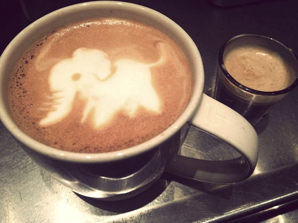 Roligt kaffe tapeter elefant-decoration idé