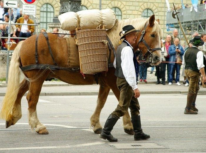 Oktoberfest München Parade med hästar