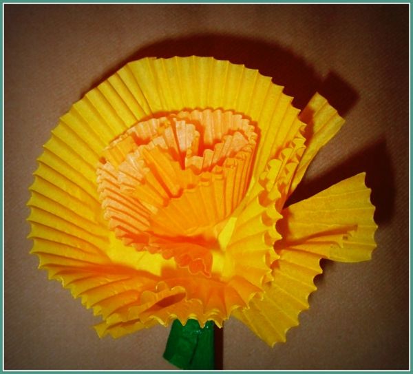 Orange blomma-storlek
