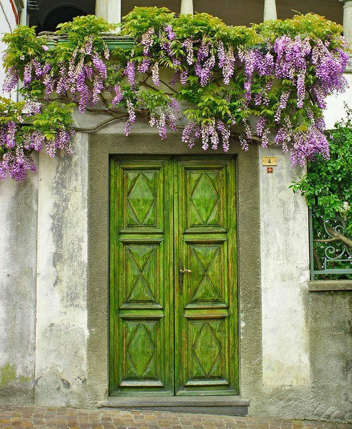 Piamonte Włochy drzwi drzwi rocznik-zielone kwiaty