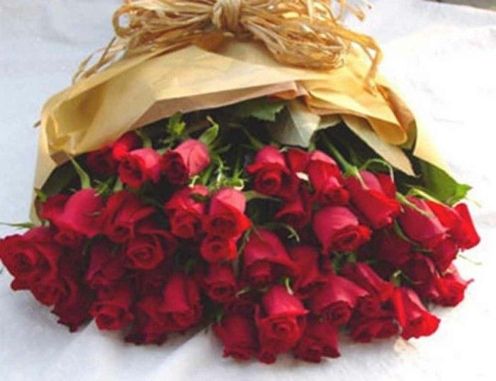 Rožė Straussas-puikus-daug rožės