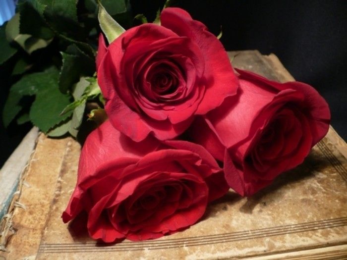 Rožė Straussas-paprasti trys rožės