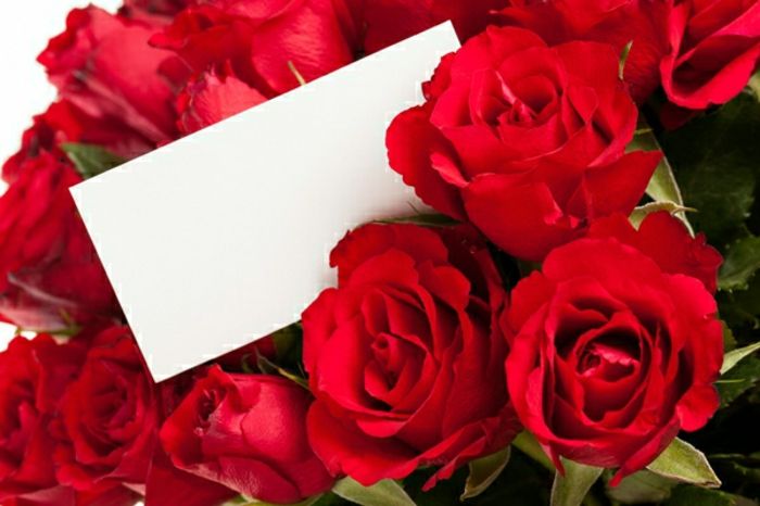 Rožės atsiųsti Valentino diena-nuotraukos