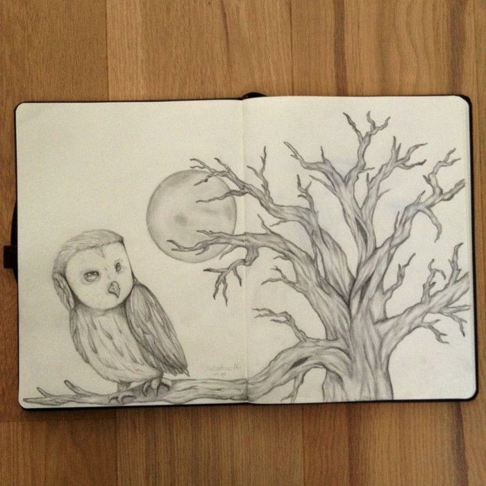 Vackra ritningar Pencil en Owl