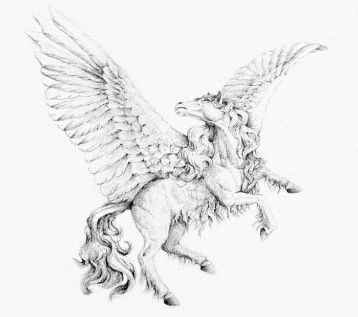 Vakre tegninger med blyant-Pegasus