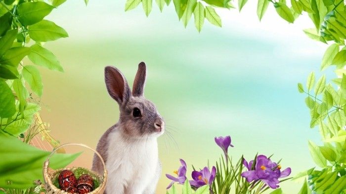 Vacker påsk wallpaper-med-kanin och blommor