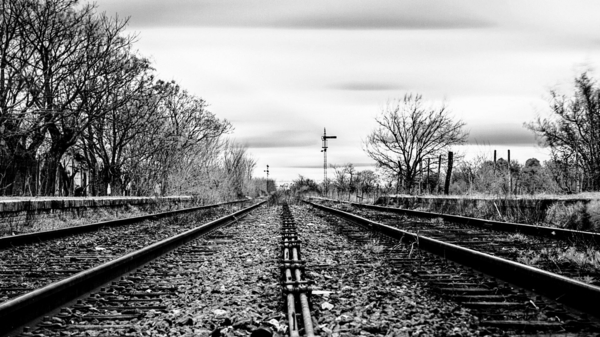 Rail Forest fotografie