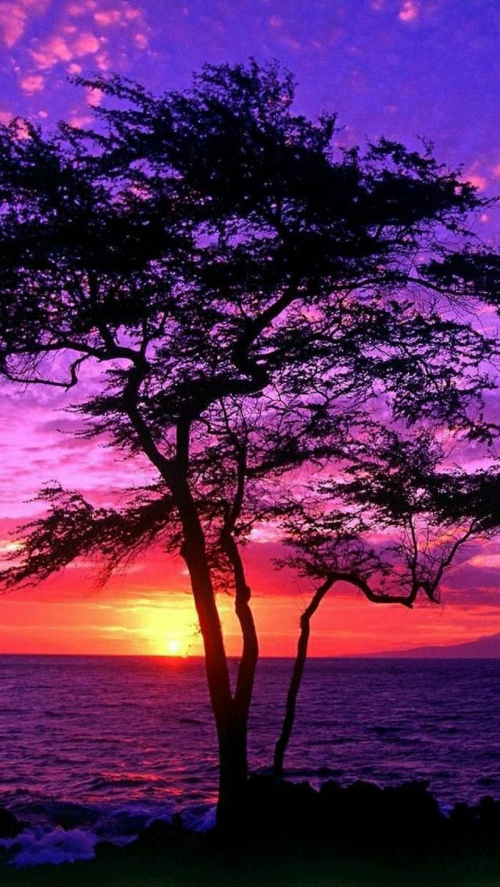 Sunset Ostrov Maui Hawaii