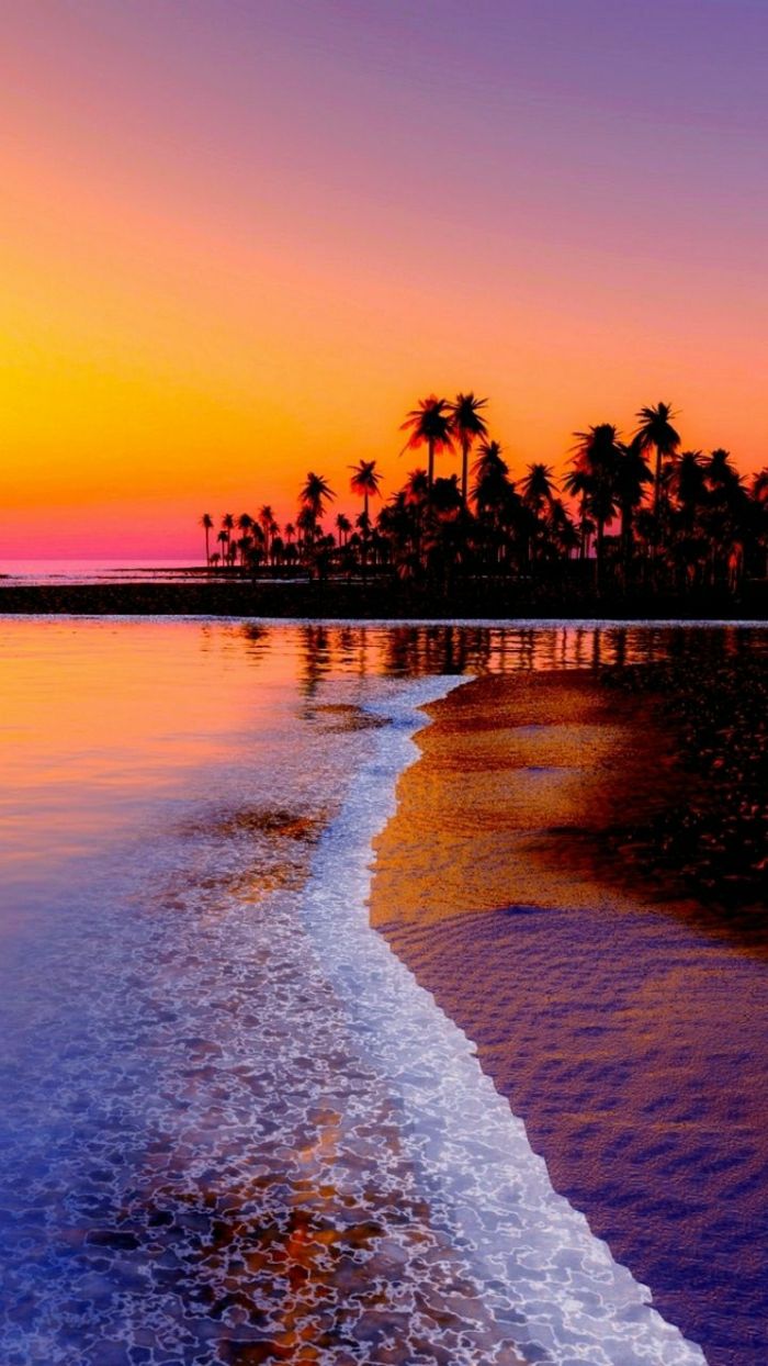 Sunset in Hawaii Palm exoticky fascinujúce