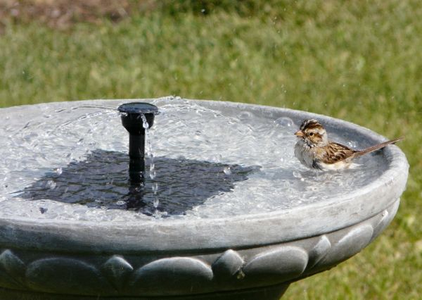 Fountain birdbath-em energia solar bomba solar Jardim